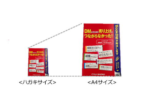 A4サイズで迫力満点